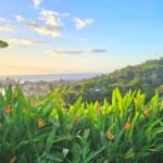 Ten Reasons Why YOU Should Visit Or Move To Dominica Now!!!