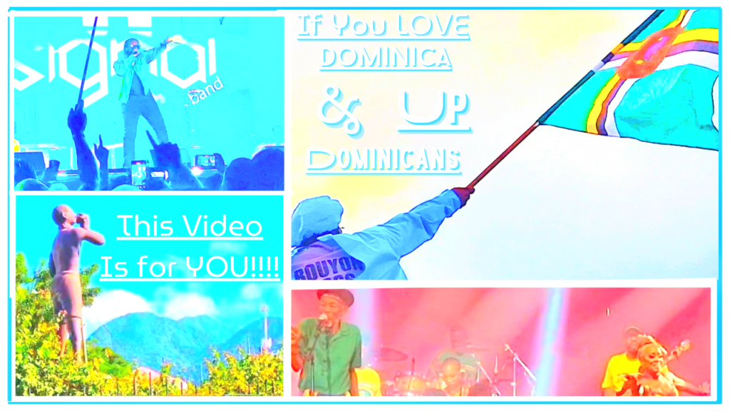 If You Love Dominica and Dominicans Watch This