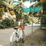 Happy New Year picuted is a road sign entitled follow your dreams