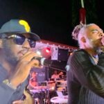 Freetown Collective pictured during a live performance.