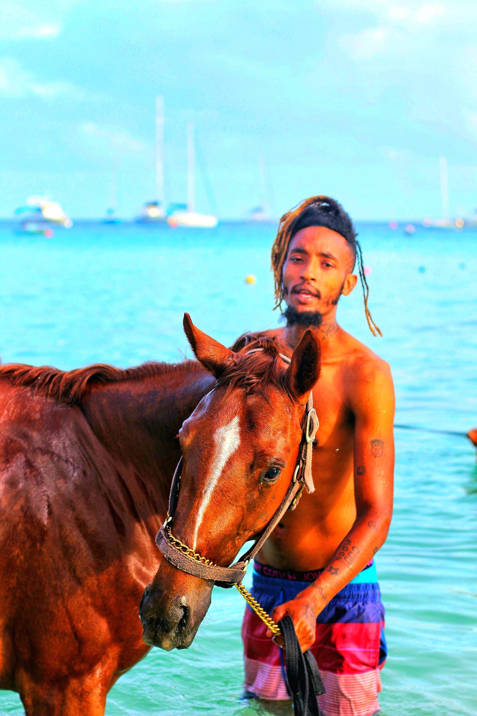 Island Hopping Man Stands In Sea Water With Horse